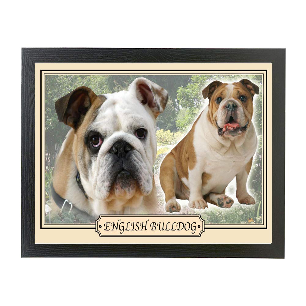 Bulldog Dog Breed Gift Lap Tray