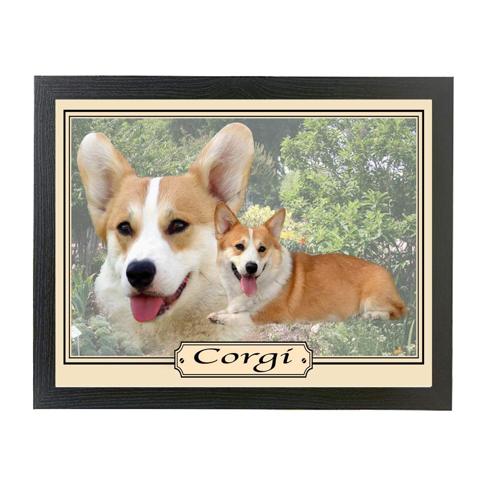 Corgi dog breed framed picture gift