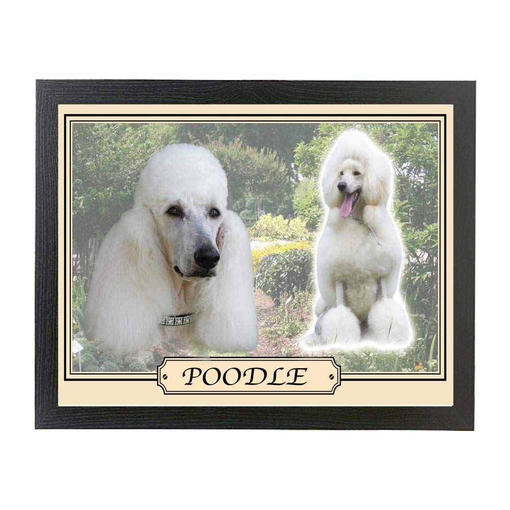White Poodle Dog Breed Gift Lap Tray