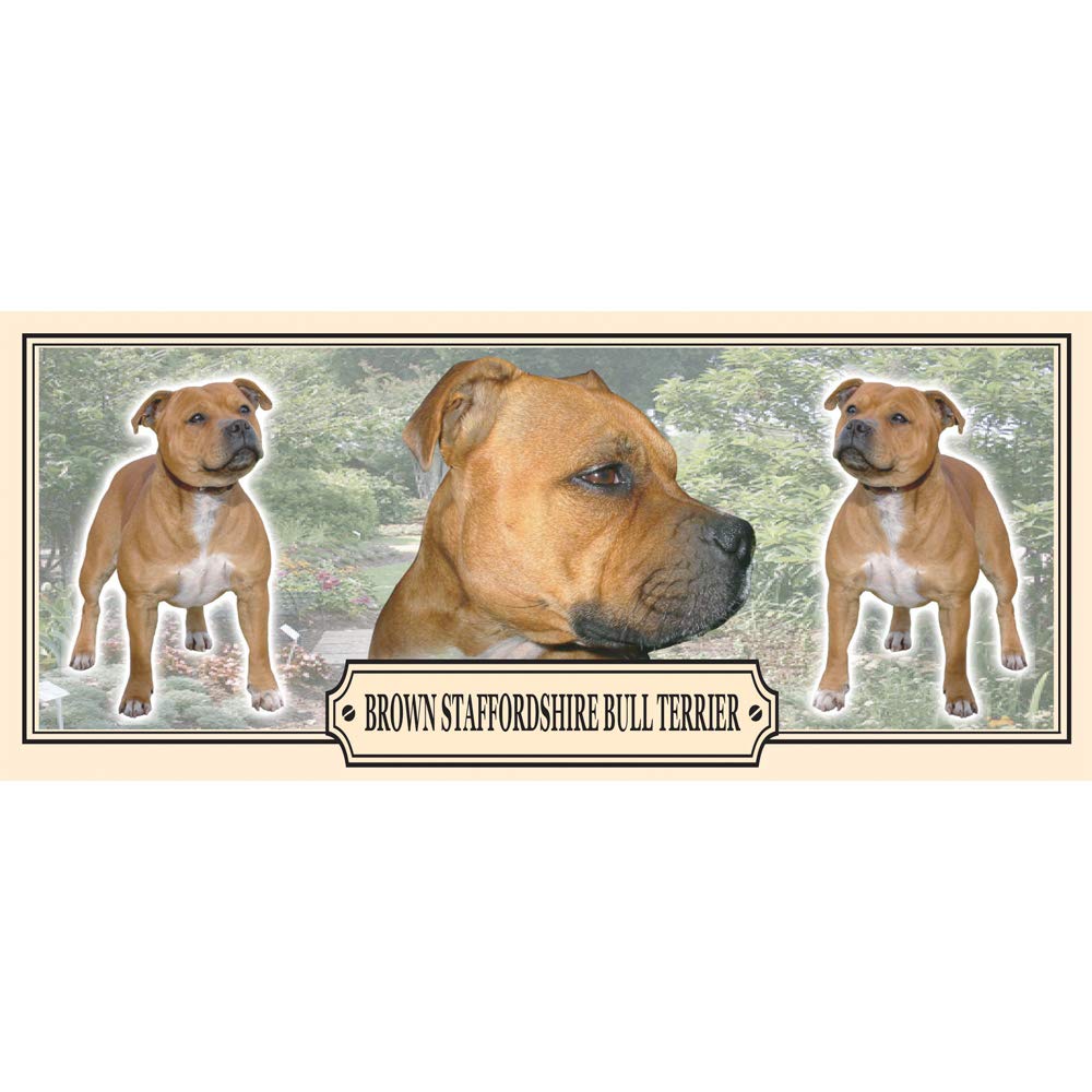 Brown Staffordshire Bull Terrier Dog Breed Gift Mug with Treats