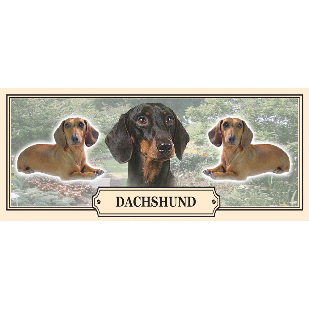 Dachshund Dog Breed Gift Mug