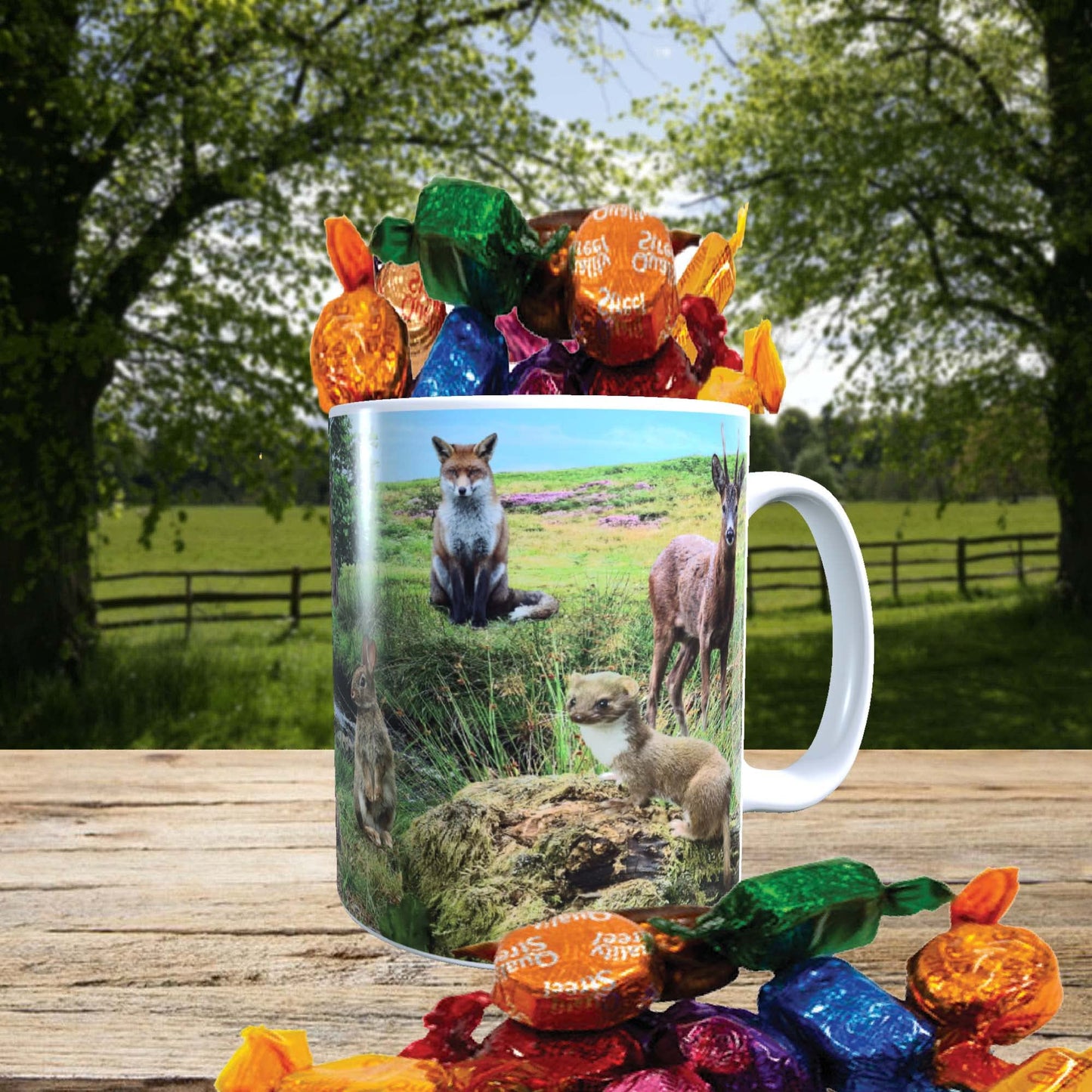 British Countryside Wildlife Animals Mug with Choice of Sweets Gift
