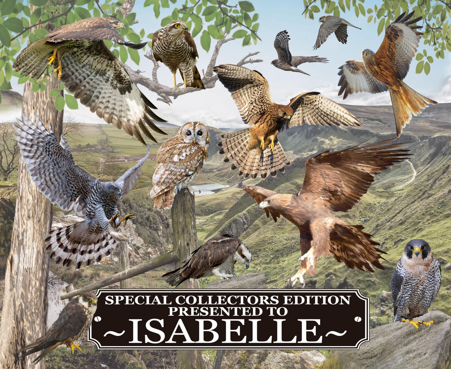 British Bird Of Prey Personalised Mouse Mat Gift