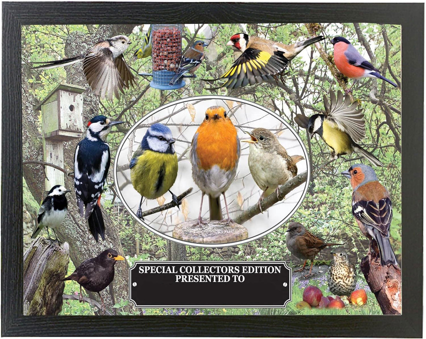 British Garden Birds Lap Tray – Nature-Themed Cushioned Serving Tray | Bird Watching Gift, Wooden Breakfast Tray for Eating, Crafts & Laptop Use