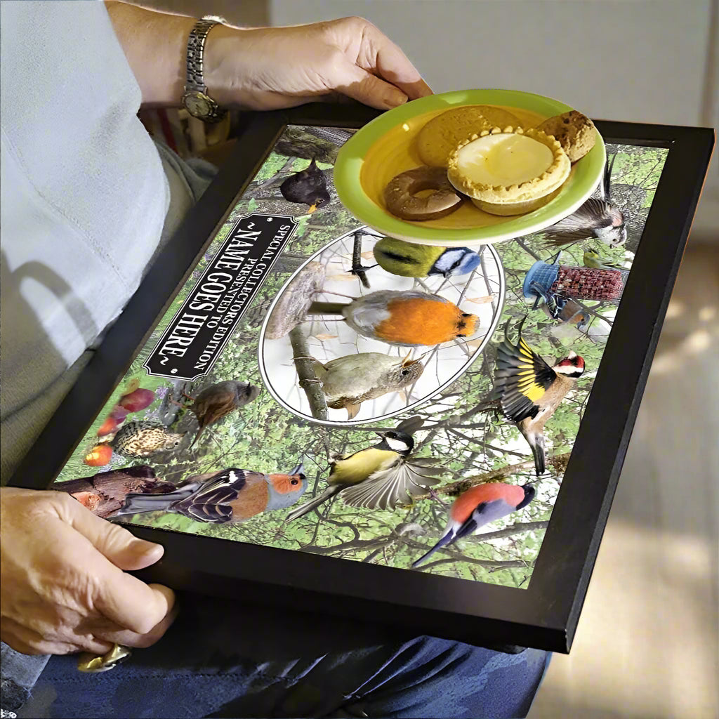 A lap tray with a cushioned bottom featuring colorful images of British garden birds, held by a person with a plate and spoon on top.
