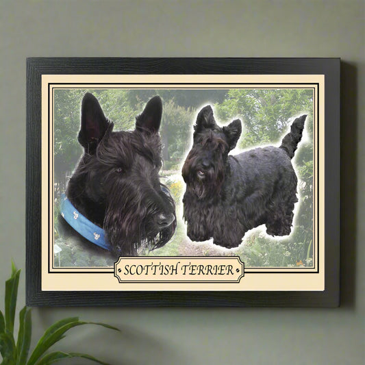 Framed picture of two Scottish Terriers with a decorative border and text.
