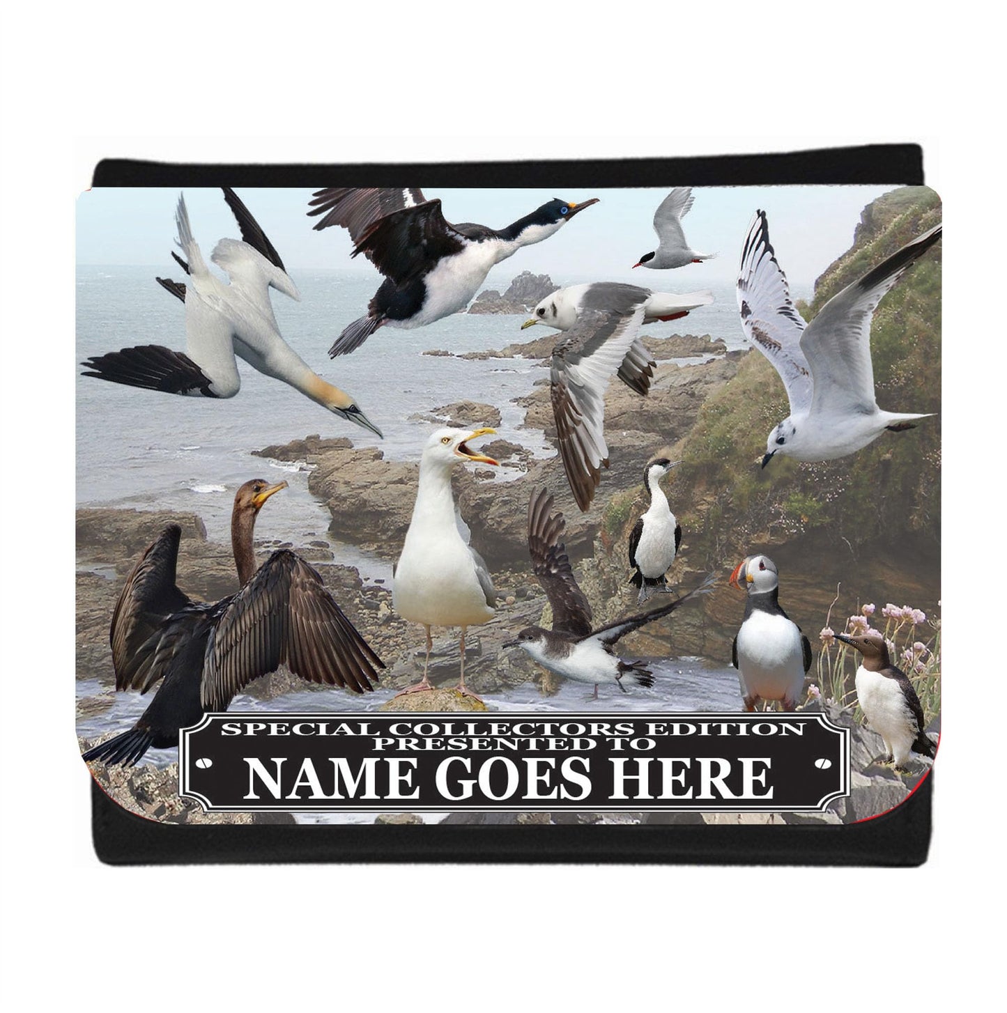 Coastal Birds Personalised Wallet Gift