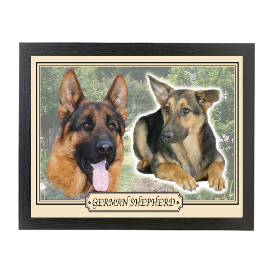 German Shepherd dog breed framed picture gift
