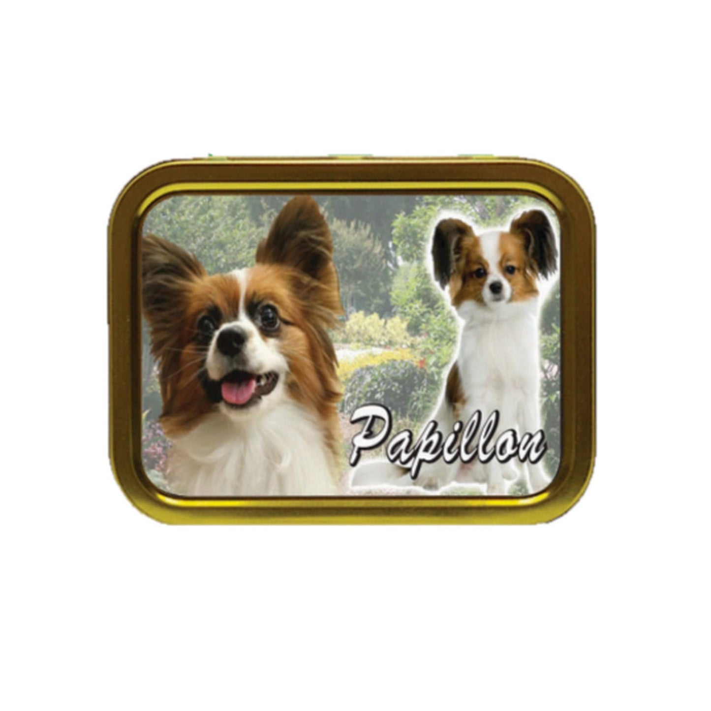 Papillon Toy Dog Breed Tobacco Storage Tin & Products