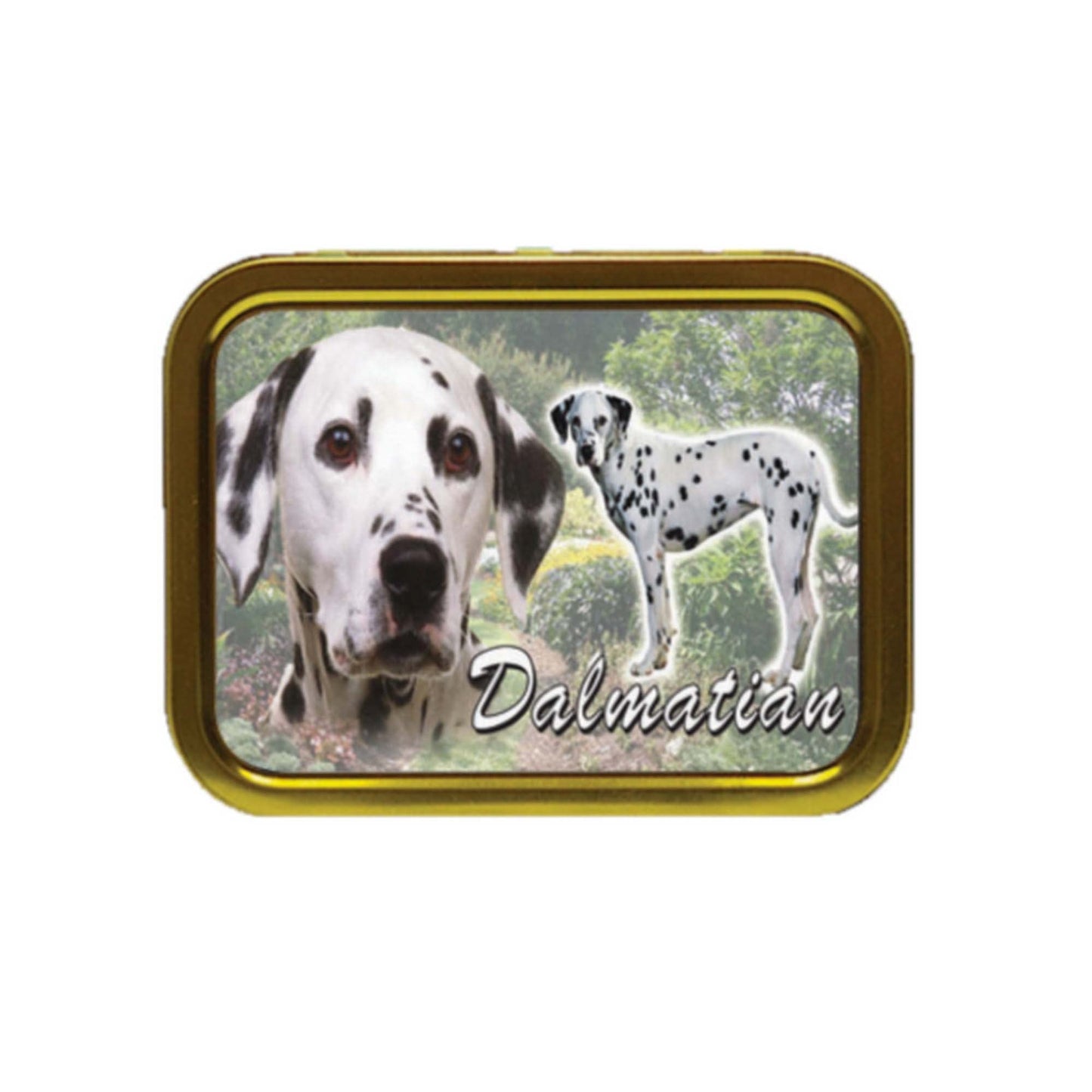 Dalmatian Dog Breed Tobacco Storage Tin & Products