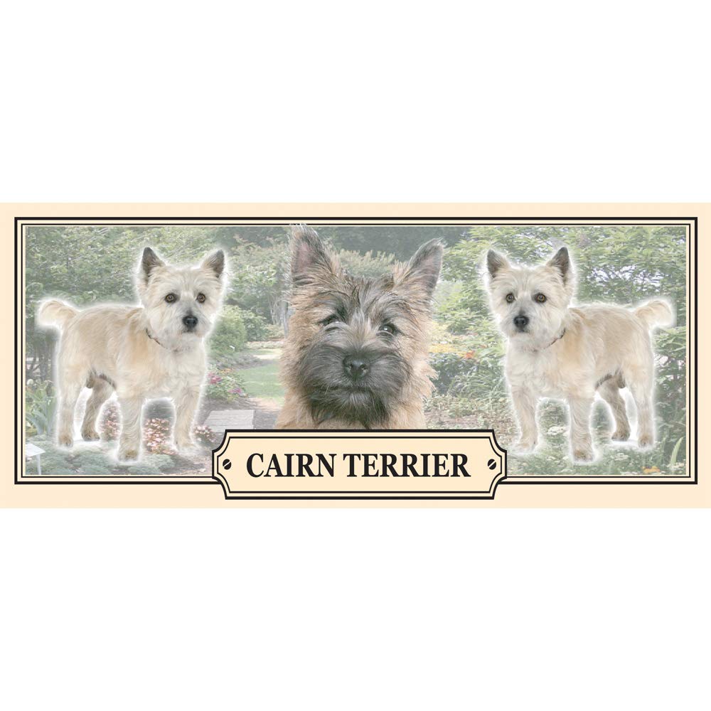 Cairn Terrier Dog Breed Gift Mug