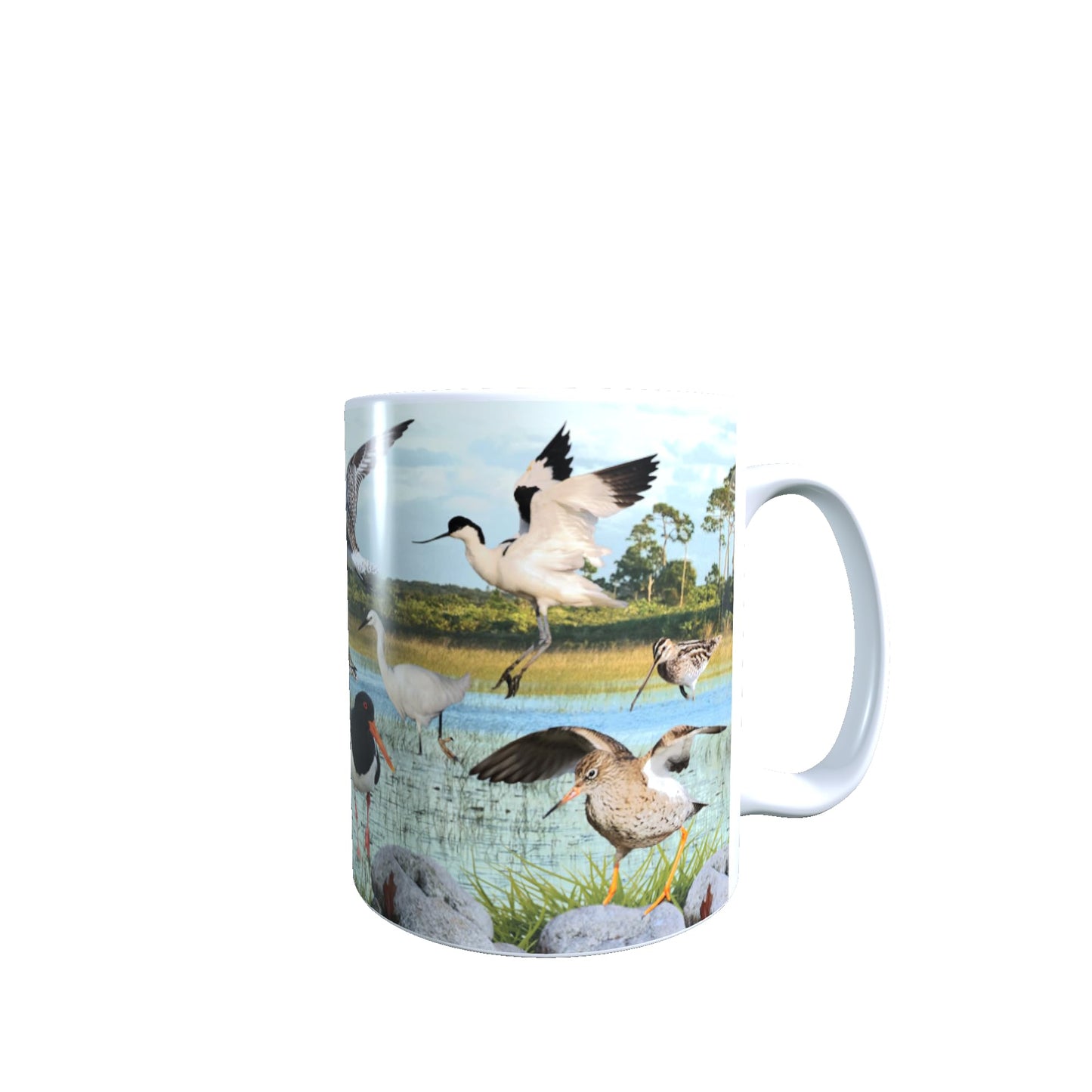 British Wetland Bird Ornithophile, Birder Mug Gift