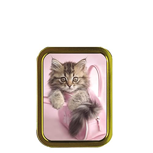 Cute Kitten in a Bag Tobacco Tin & Products Gift