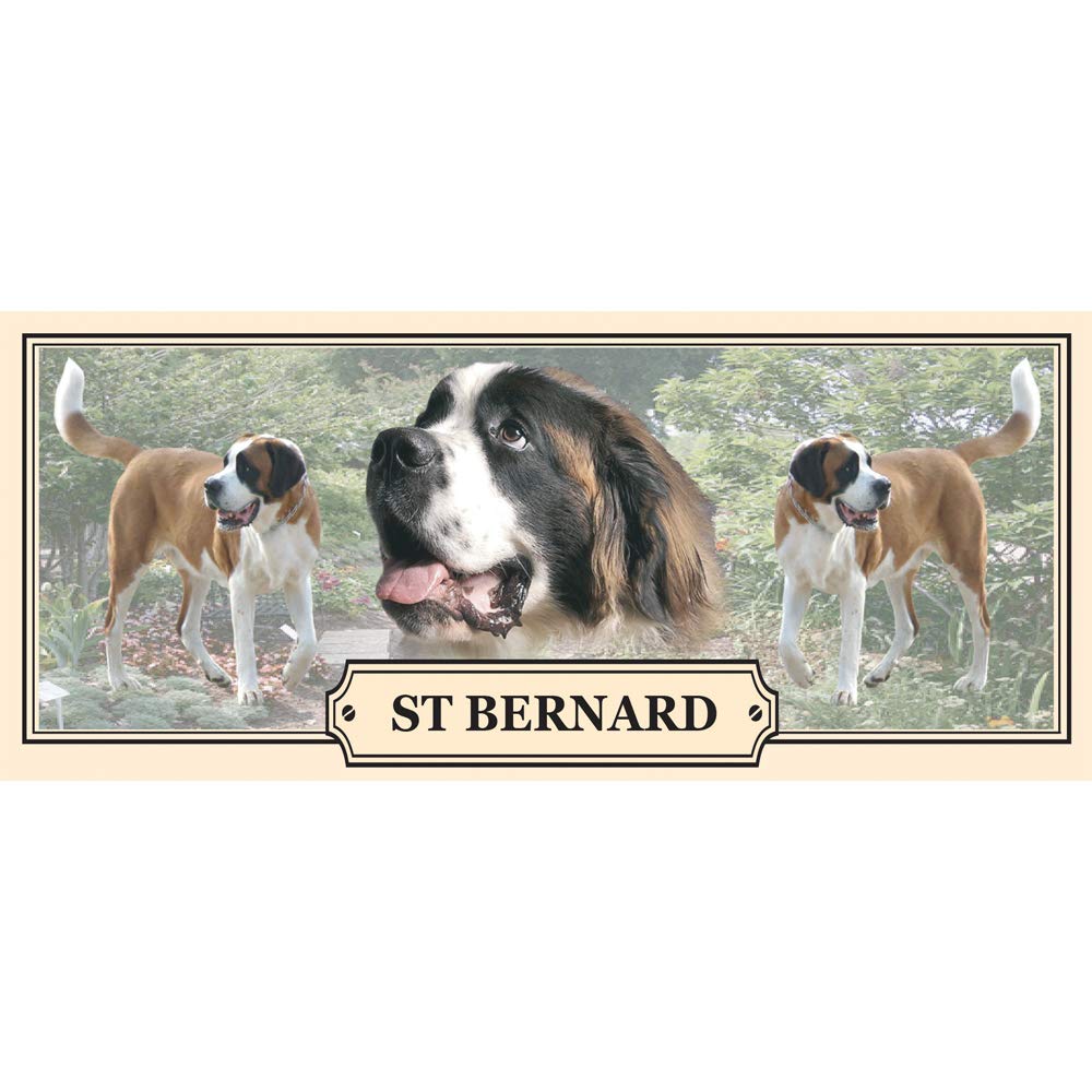 St Bernard Dog Breed Gift Mug with Treats