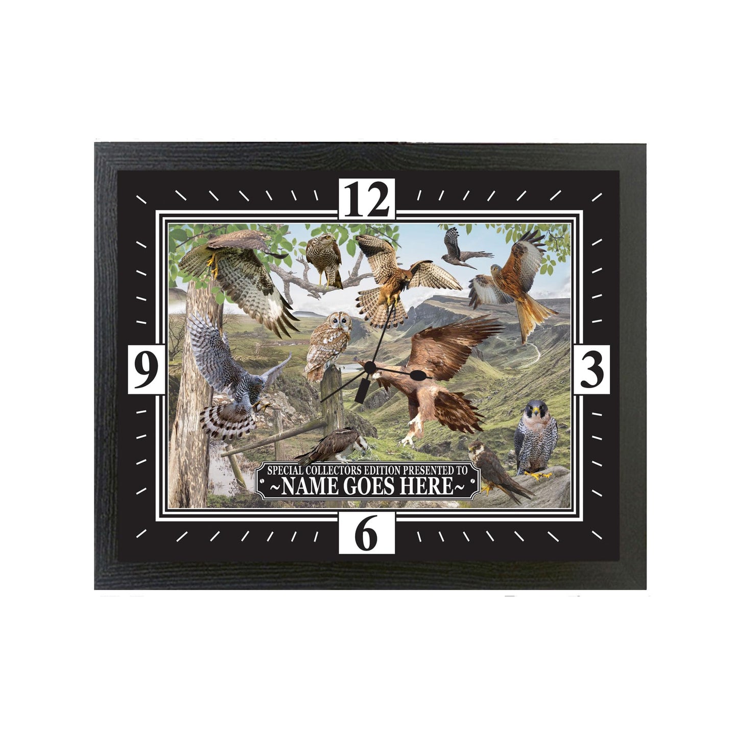 British Birds Of Prey Personalised Wall Clock Gift