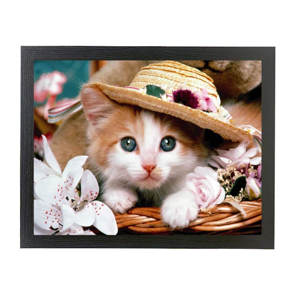 Cute Pussy Cat in a hat perched on a basket gift lap tray