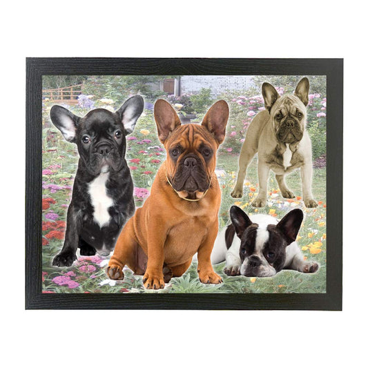 French Bulldog Frenchie framed picture gift