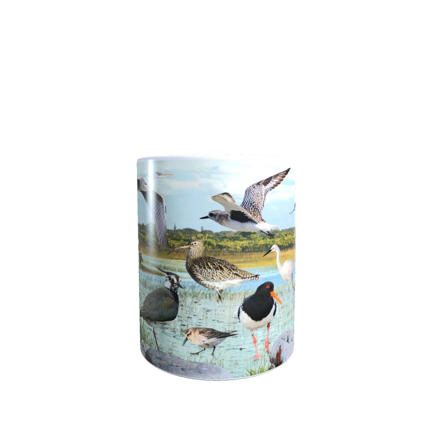British Wetland Bird Ornithophile, Birder Mug Gift
