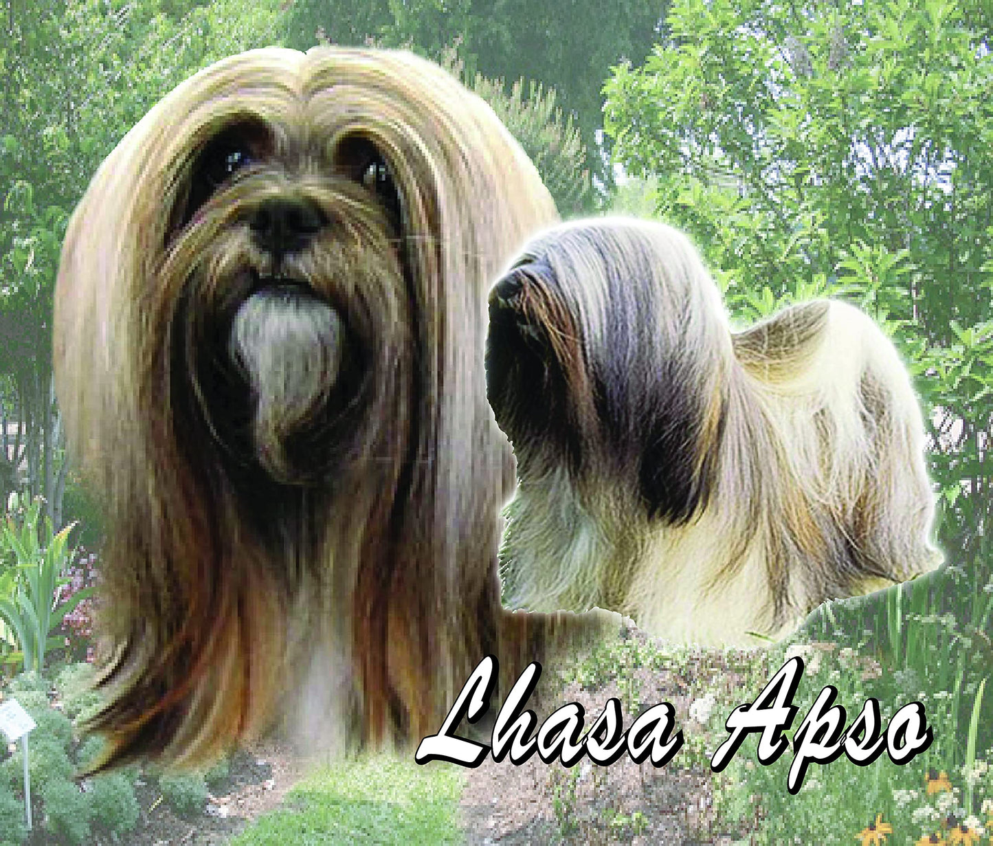 Lhasa Apso Dog Breed Mouse Mat Gift