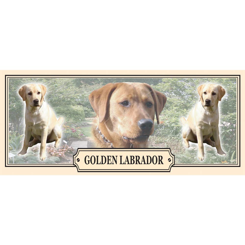 Golden Labrador Dog Breed Gift Mug with Treats