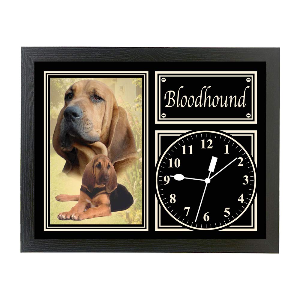 Bloodhound Dog Breed Gift Clock