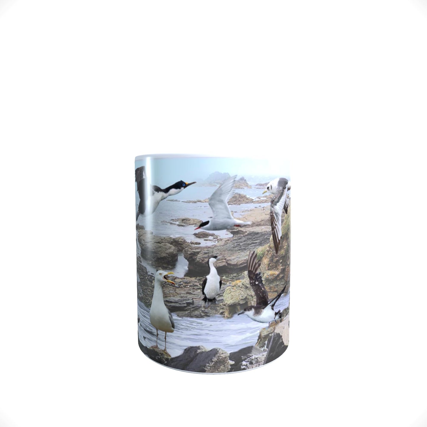 Coastal Birds Mug Gift, COASTBIRDMUG_000