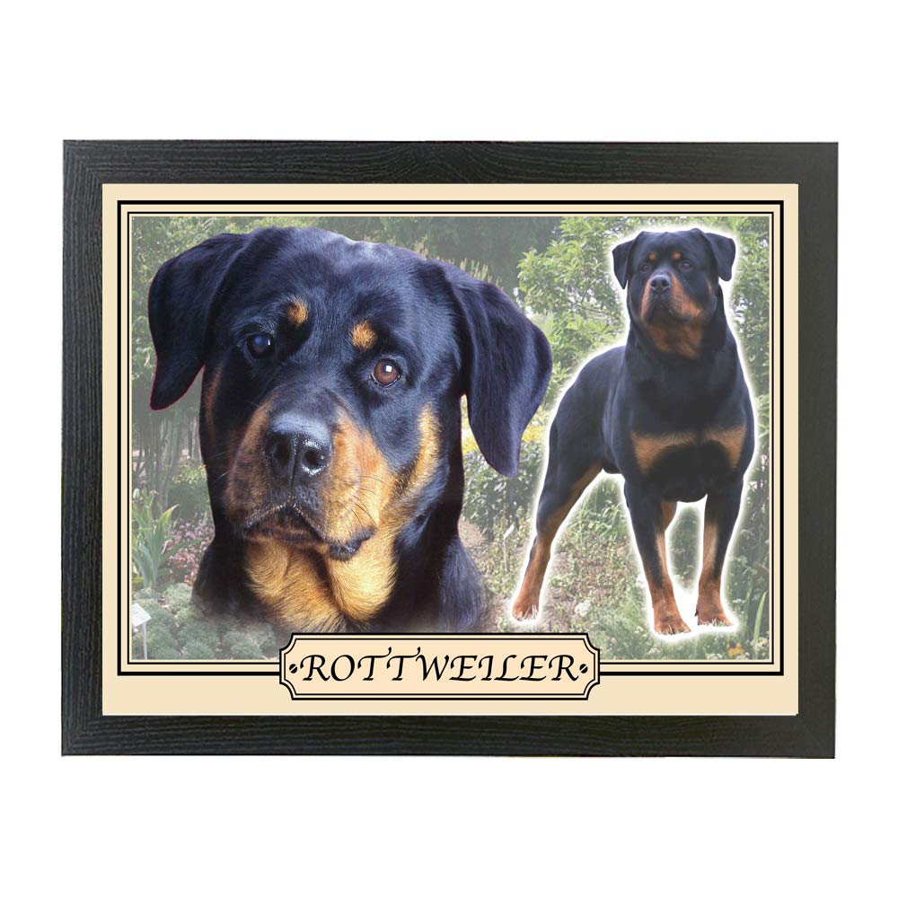 Rottweiler dog breed framed picture gift