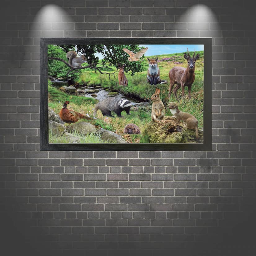 British Countryside Wildlife Animals Framed Wall Hanging Picture Gift