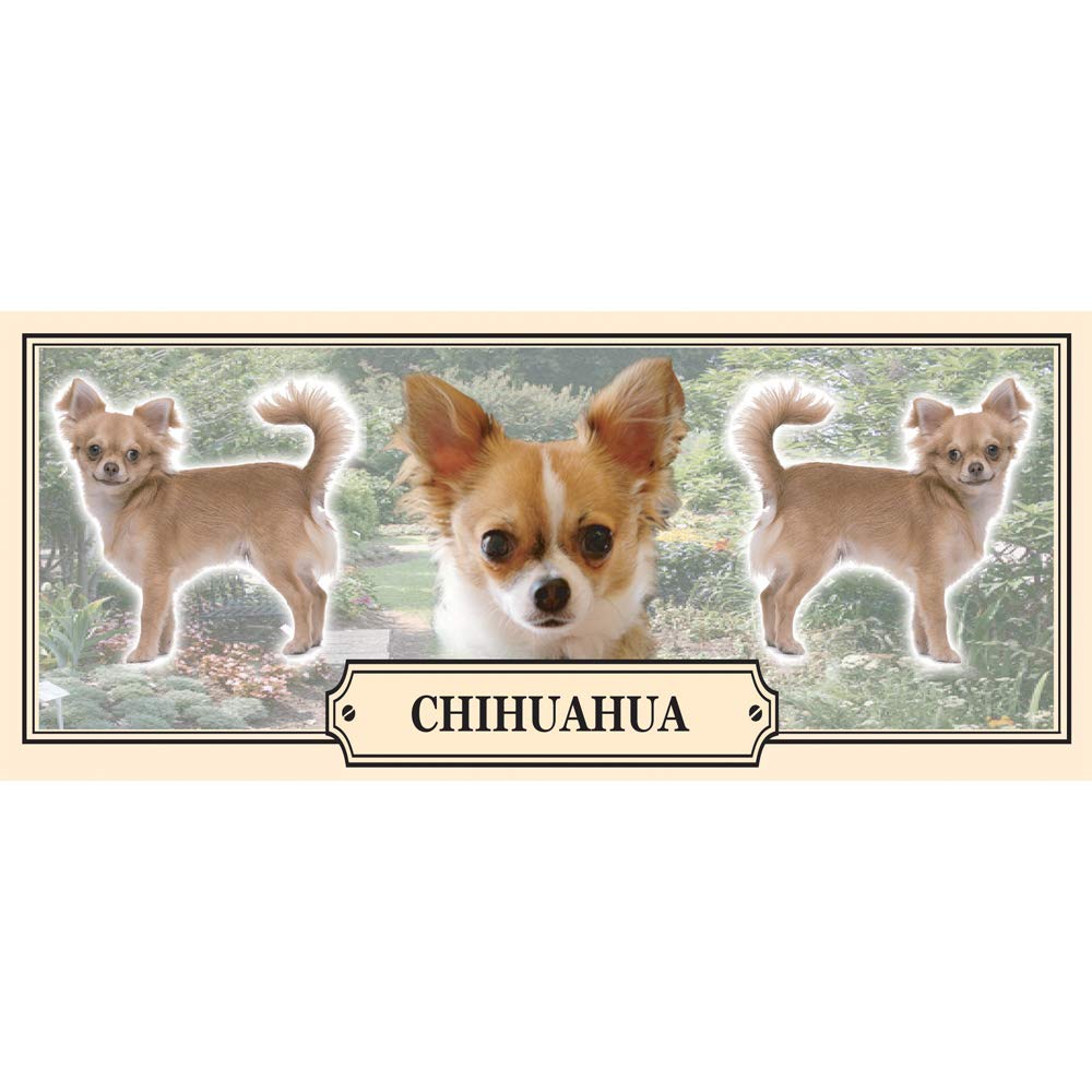 Chihuahua Dog Breed Gift Mug