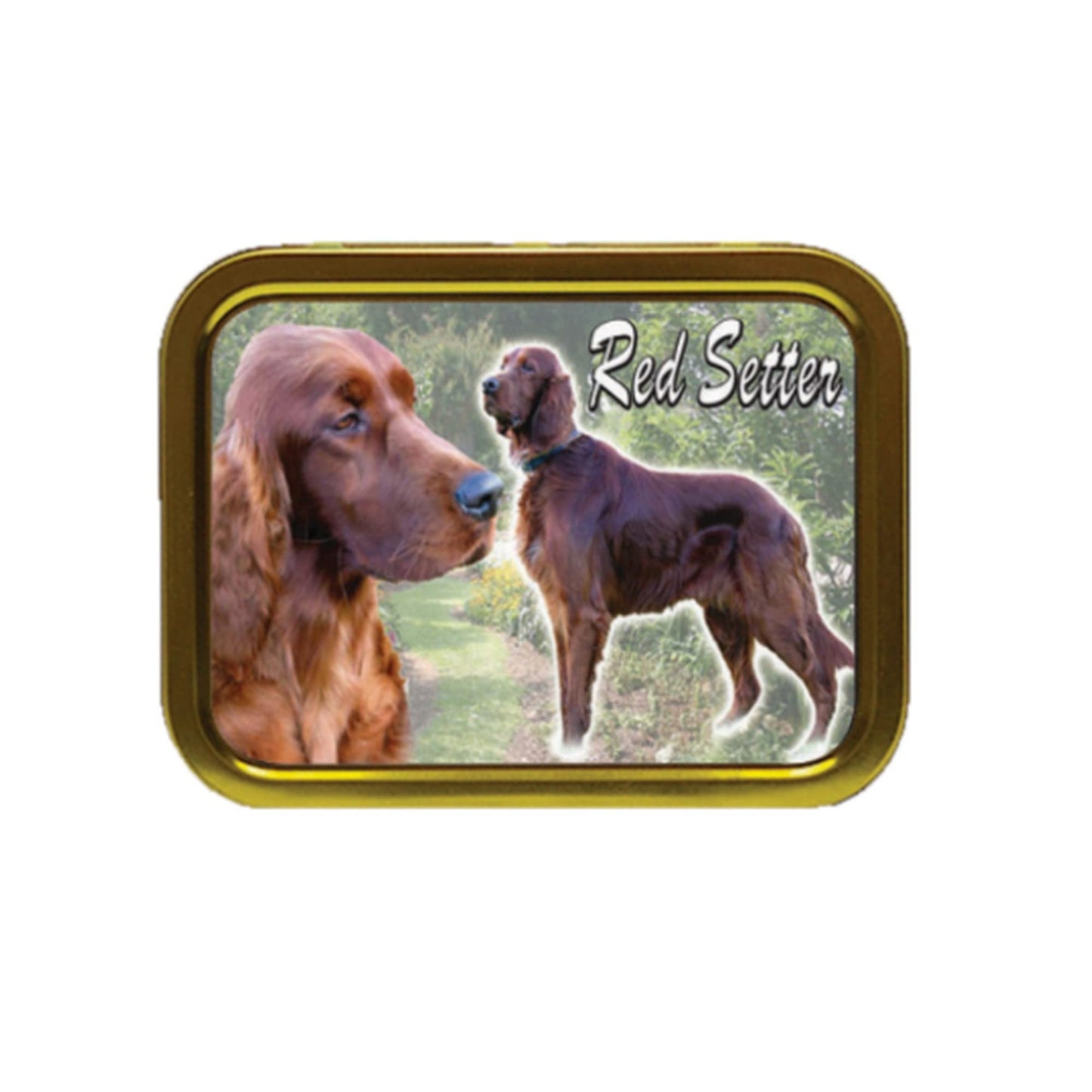 Red Setter Dog Breed Tobacco Tin & Products Gift