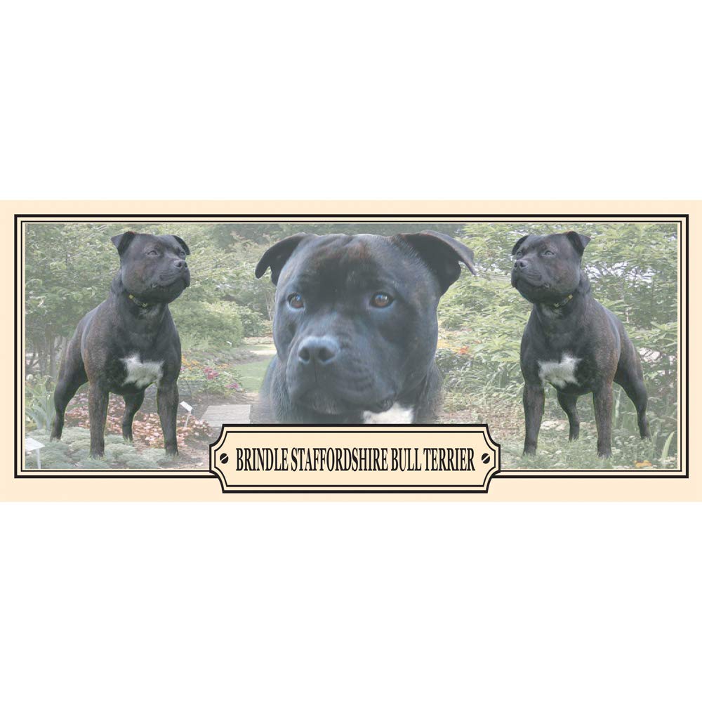Brindle Staffordshire Bull Terrier Dog Breed Gift Mug with Treats