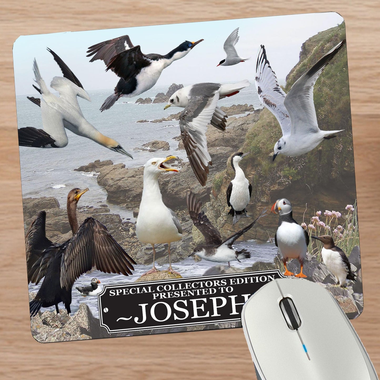 Coastal Birds Personalised Mouse Mat Gift