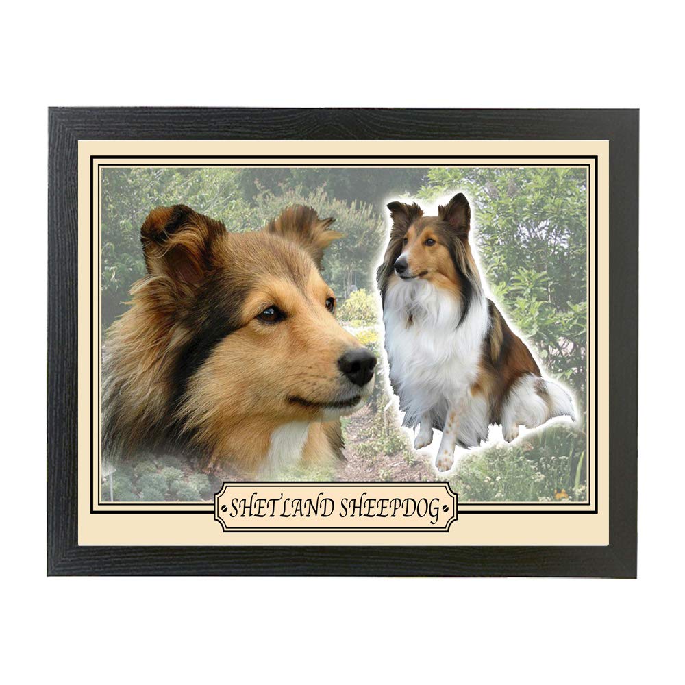 Shetland Sheepdog Sheltie Dog Breed Gift Lap Tray
