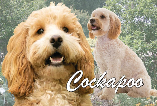 Cockapoo Dog Breed Gift Purse