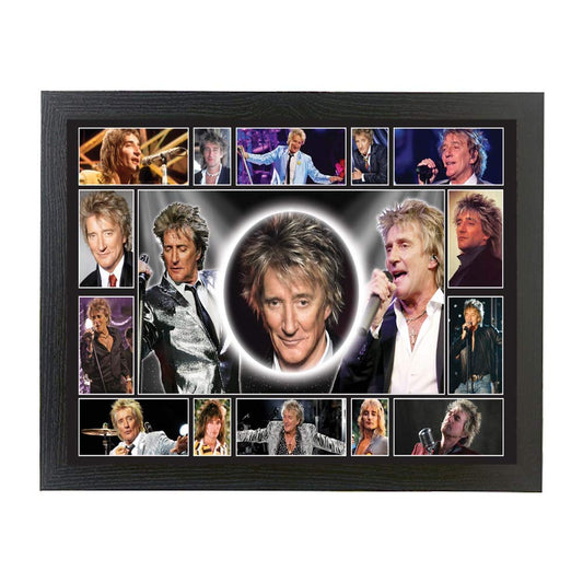 Rod Stewart icon framed picture gift