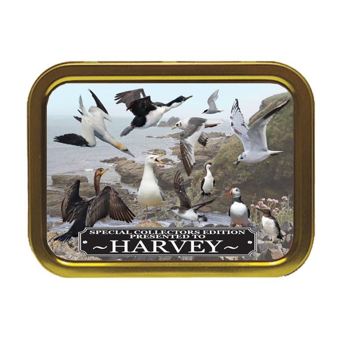 Coastal Birds Personalised Tobacco Storage Tin & Products