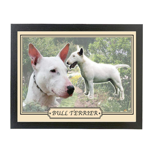 Bull Terrier dog breed framed picture gift