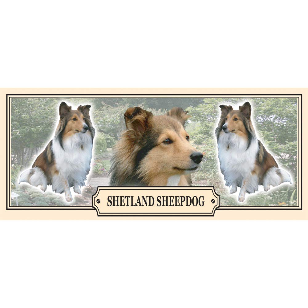 Shetland Sheepdog Dog Breed Gift Mug with Treats