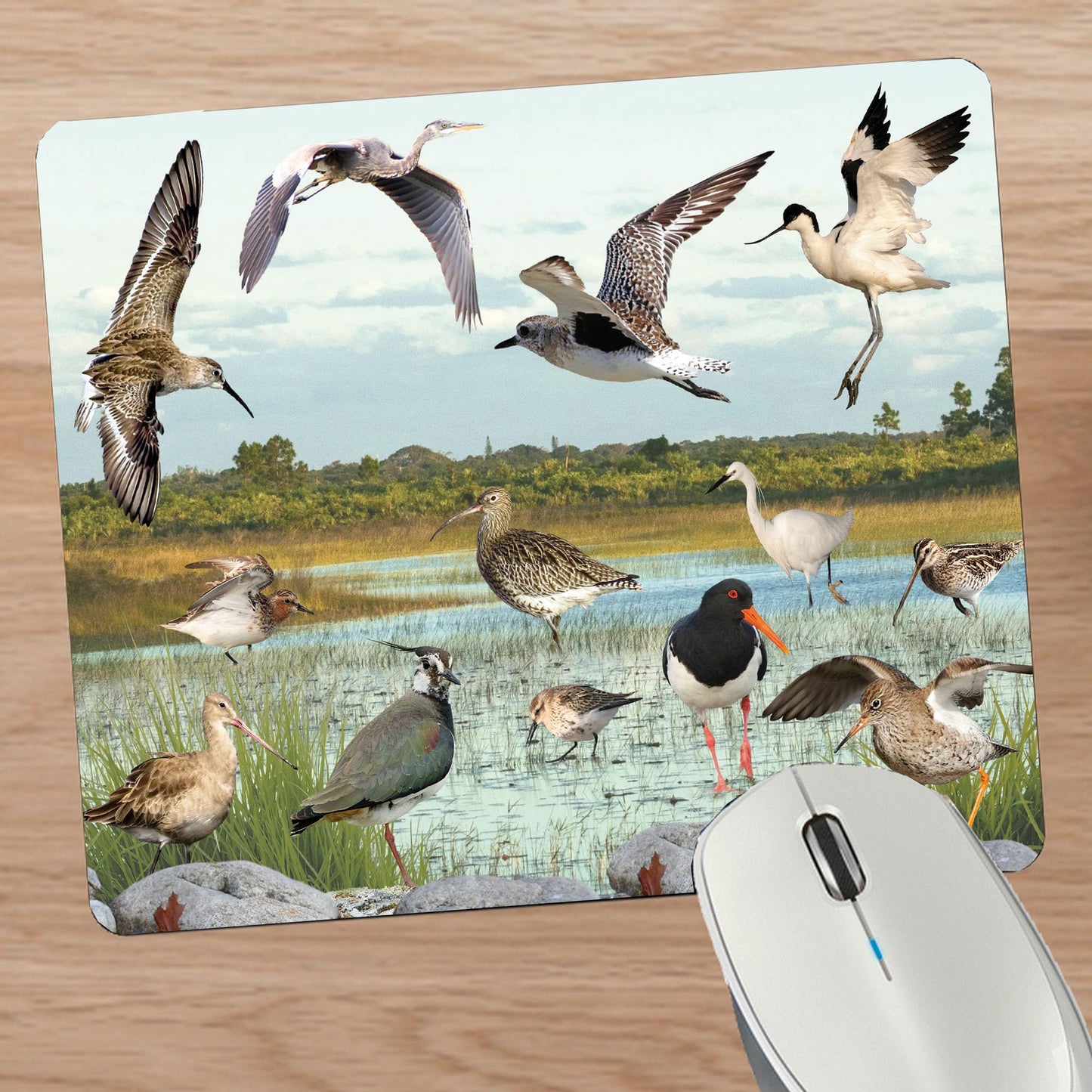 British Wetland Bird Ornithophile Birder Mouse Mat Gift