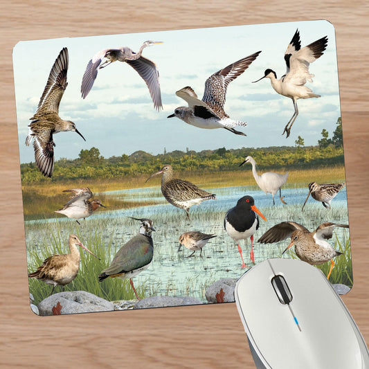 British Wetland Bird Ornithophile Birder Mouse Mat Gift