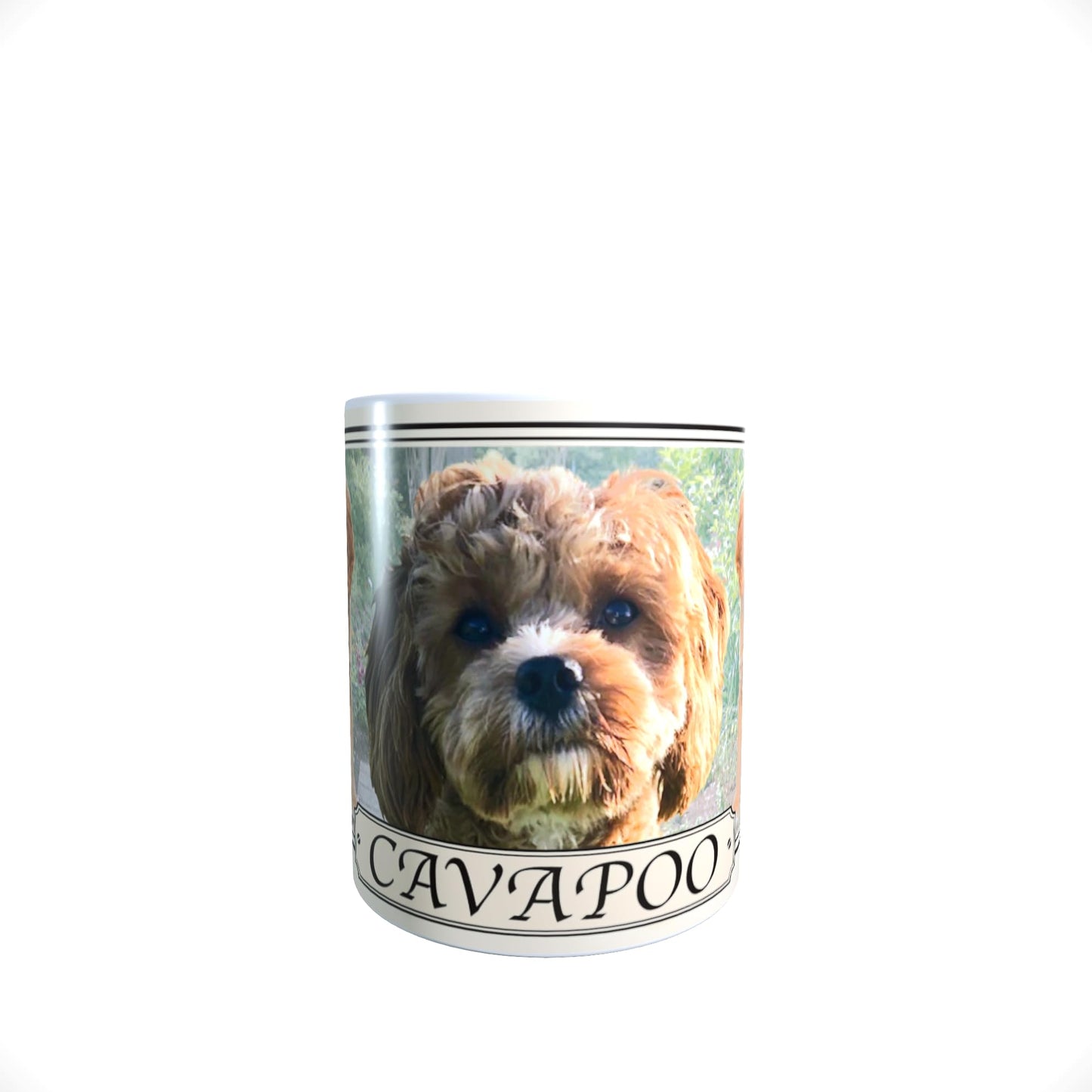 Cavapoo Dog Breed Gift Mug