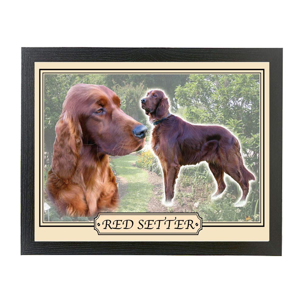 Red Setter Dog Breed Gift Lap Tray
