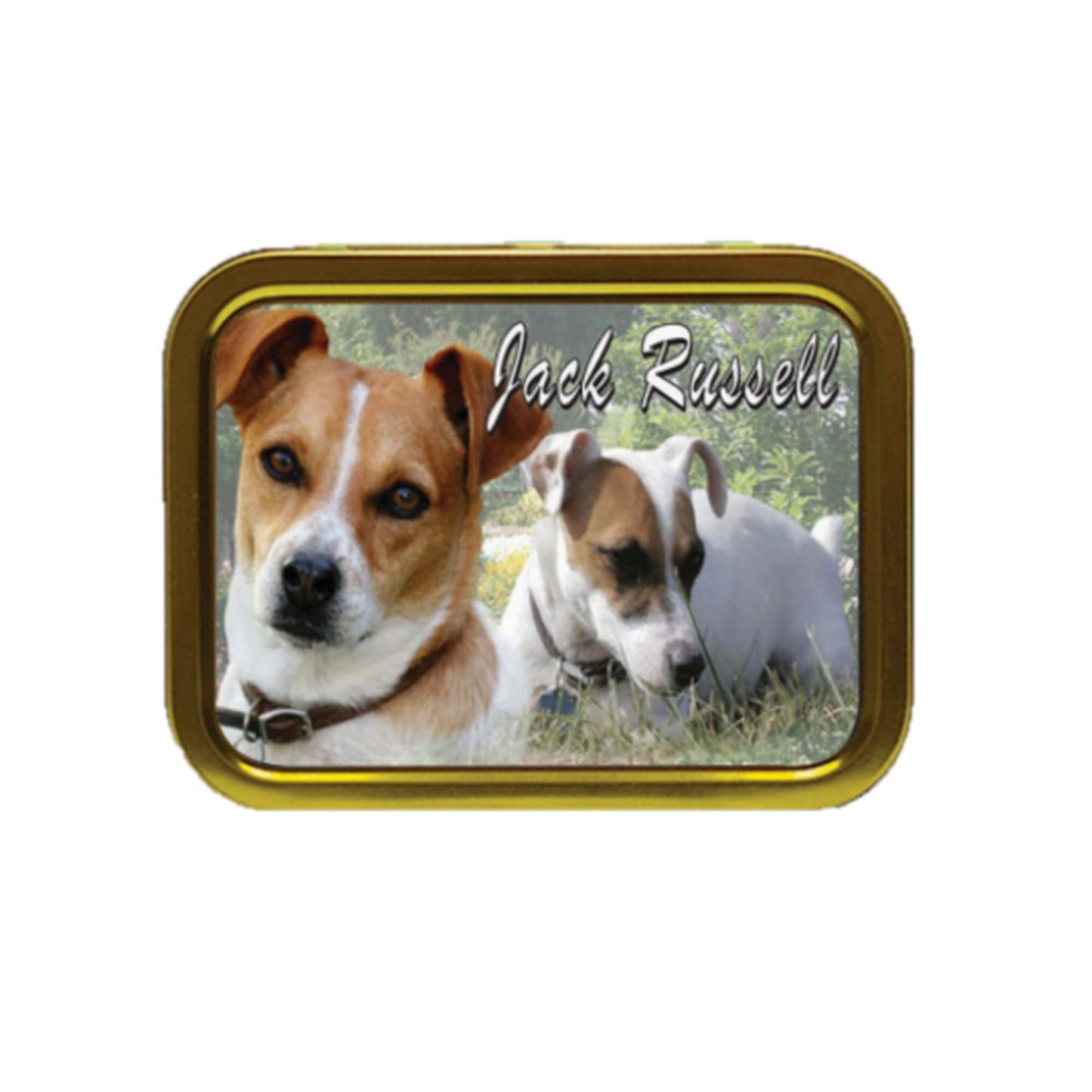 Jack Russell Dog Breed Tobacco Tin & Products Gift