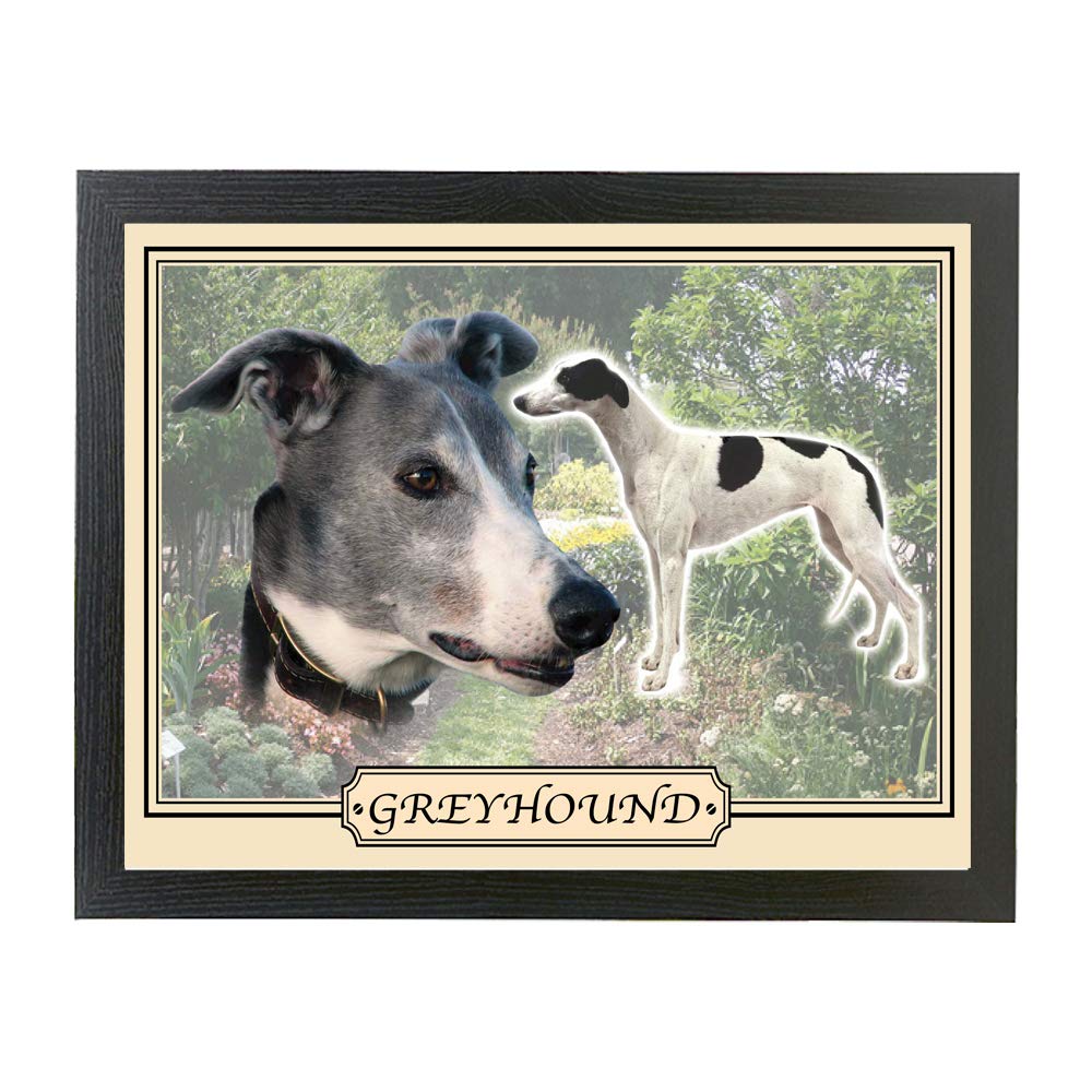 Greyhound dog breed framed picture gift