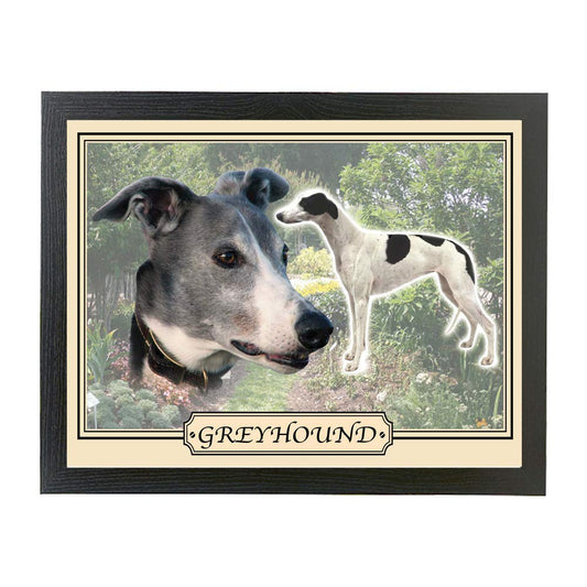 Greyhound dog breed framed picture gift