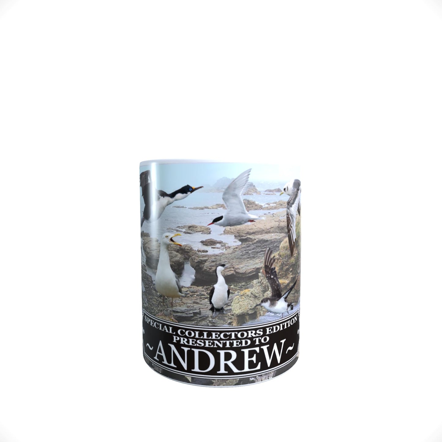 Coastal Birds Personalised Mug Gift, COASTBIRDMUGPERS_000