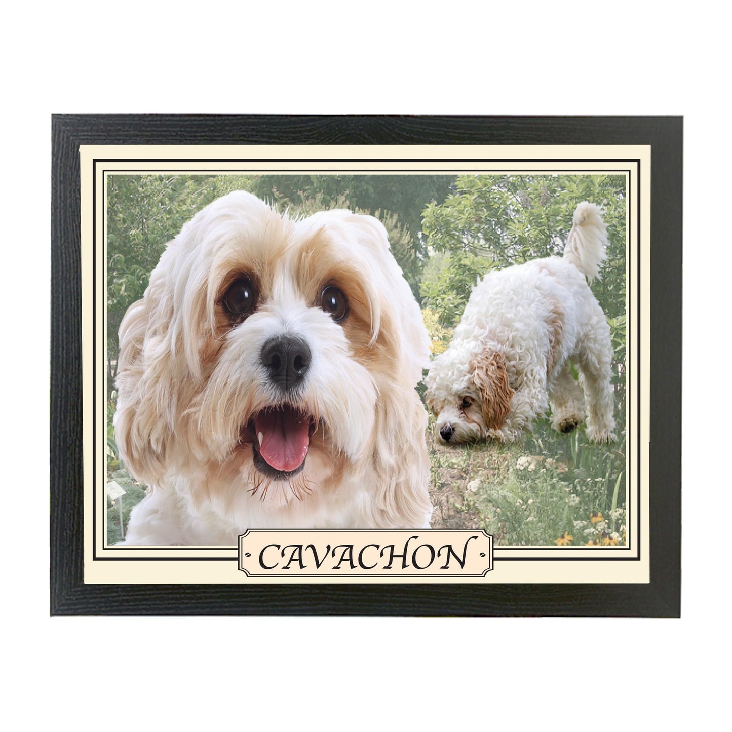 Cavachon Dog Breed Lap Tray Gift Present