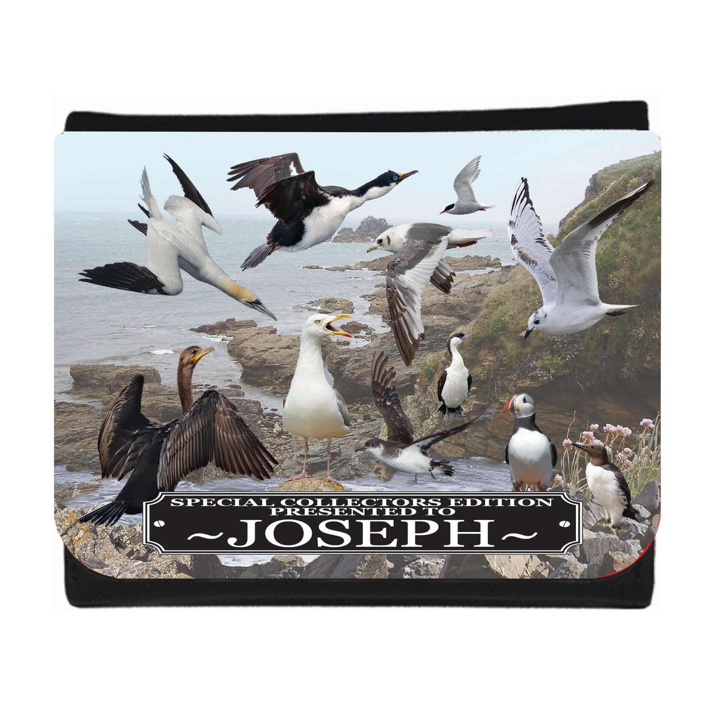 Coastal Birds Personalised Wallet Gift