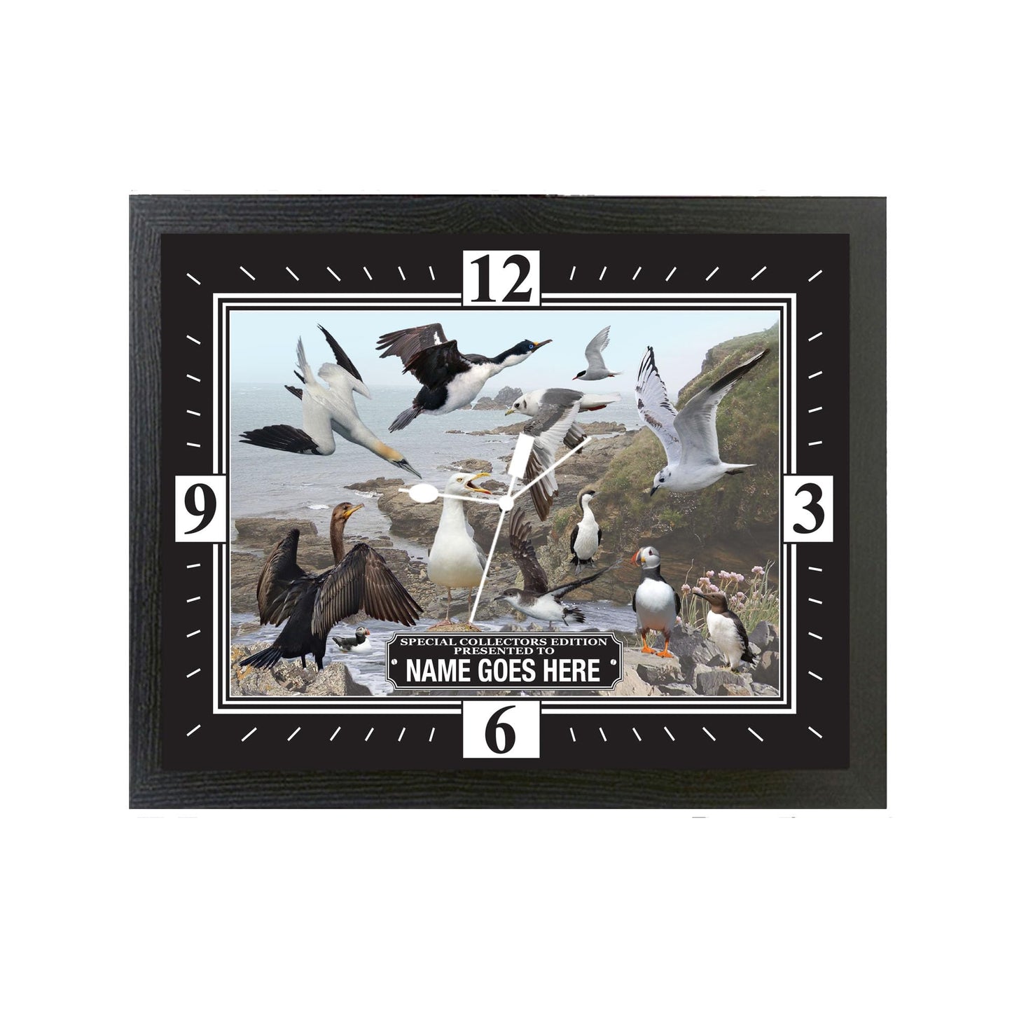 Coastal Birds Personalised Wall Clock Gift, COASTALBIRDPERSCLOCK_001
