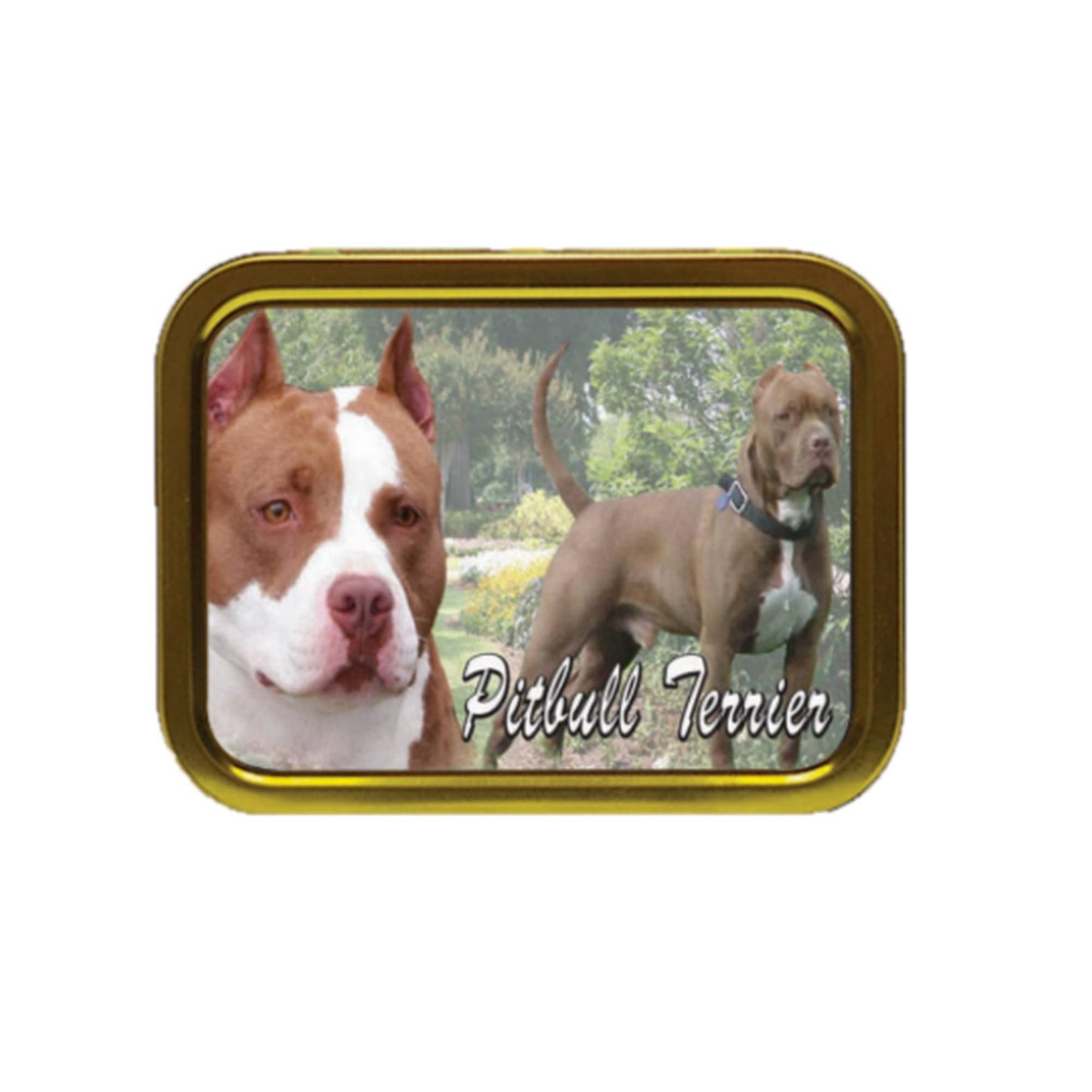 Pit Bull Terrier Dog Breed Tobacco Tin & Products Gift